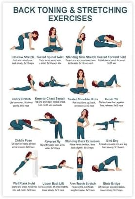 Back Exercises Seated And Standing Back Exercise Upper And Lower Home Workout Chart Gentle No Equipment Exercise Canvas Poster Bedroom Decor Room Decor Unframe 16x24inch