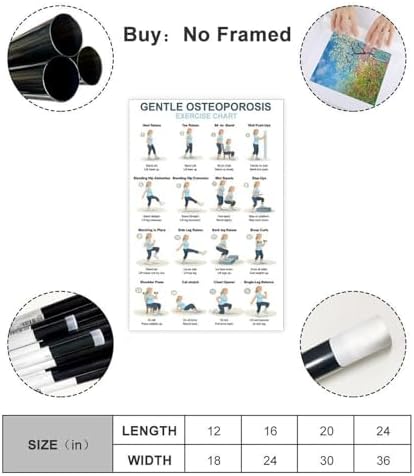 Osteoporosis Exercise Chart for Seniors Gentle Low Impact Seated Standing Workout Bone Health Routine Canvas Poster Wall Art for Living Room Bedroom Decor Unframe 12x18inch