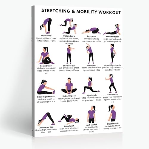 Stretching & Mobility Workout Poster, 16 Illustrated Full-Body Flexibility Chart with Timed Hold Guides, Bodyweight Daily Stretch Reference for Desk Soreness & Post-Workout Joint Recovery(20x30inchs，Wrapped Framed)