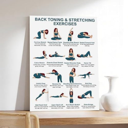 Back Exercises Seated And Standing Back Exercise Upper And Lower Home Workout Chart Gentle No Equipment Exercise Canvas Poster Bedroom Decor Room Decor Unframe 16x24inch