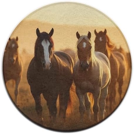 Soft Round Yoga Carpet, Large Home Decor Mat, Non Slip Machine Washable Kitchen Office Circle Rug Horse