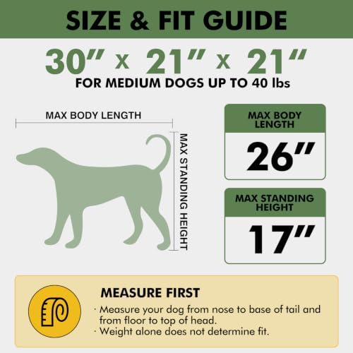30" Soft Collapsible Travel Dog Crate for Medium Dogs,Green