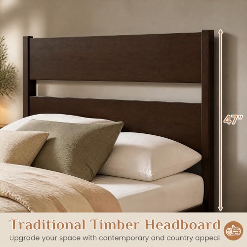 Queen Size Rubber Wood Bed Frame with Tall Headboard, Dark Brown