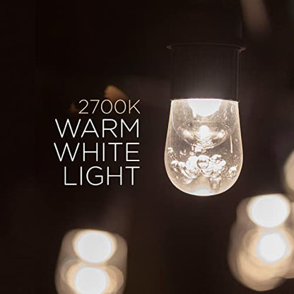 Classic Warm White String Lights, 48ft Black Cord, 24 Shatterproof Acrylic Bulbs, Weatherproof, Outdoor String Lights, 31664