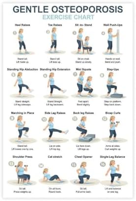Osteoporosis Exercise Chart for Seniors Gentle Low Impact Seated Standing Workout Bone Health Routine Canvas Poster Wall Art for Living Room Bedroom Decor Unframe 12x18inch