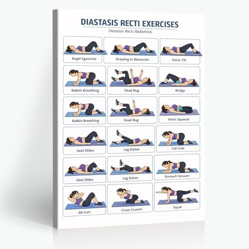 Diastasis Recti Repair Exercise Poster, 18 Illustrated Postpartum Abdomen Healing Moves Chart, Bodyweight Postnatal Core & Pelvic Floor Training Guide for Diastasis Recti Abdominis Recovery Workout(16x24inchs，Wrapped Framed)
