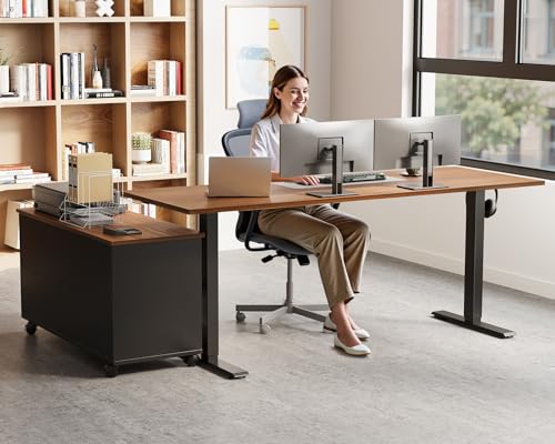 55" L Shaped Electric Standing Desk with Cabinet Sets, Walnut/Black