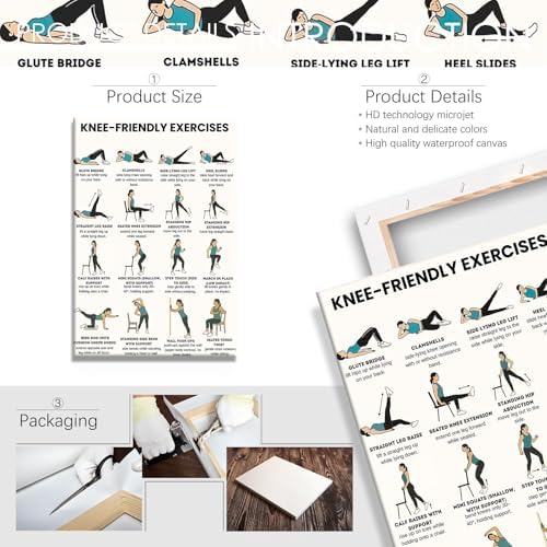 Knee-Friendly Low Impact Workout Poster, 16 Illustrated Joint-Safe Leg & Core Training Chart, Chair Supported Gentle Exercise Reference for Sensitive Knee Rehabilitation & Senior Home Fitness(24x36inchs，Wrapped Framed)