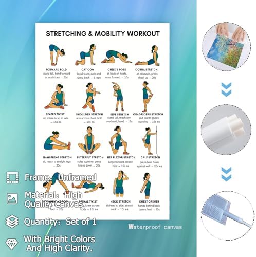 Stretching & Mobility Workout Poster, 16 Illustrated Full-Body Flexibility Chart with Hold Timing Guides, Bodyweight Daily Stretch Reference for Post-Workout Recovery & Joint Mobility Improvement(24x36inchs，Unframed)