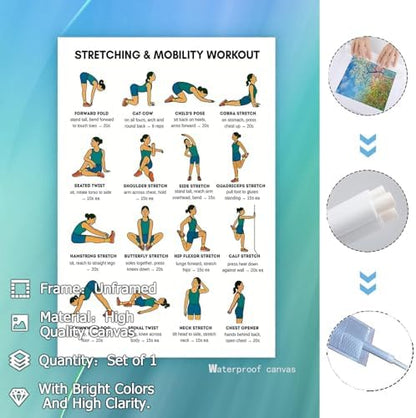 Stretching & Mobility Workout Poster, 16 Illustrated Full-Body Flexibility Chart with Hold Timing Guides, Bodyweight Daily Stretch Reference for Post-Workout Recovery & Joint Mobility Improvement(24x36inchs，Unframed)