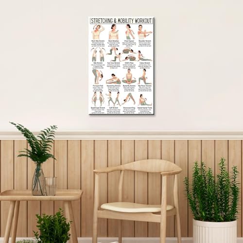Stretching & Mobility Workout Poster, 16 Illustrated Full-Body Flexibility Training Chart with Hold Time Guides, Bodyweight Neck Hip Shoulder Stretch Reference for Post-Workout Recovery & Daily Mobility Improvement(12x18inchs，Wrapped Framed)