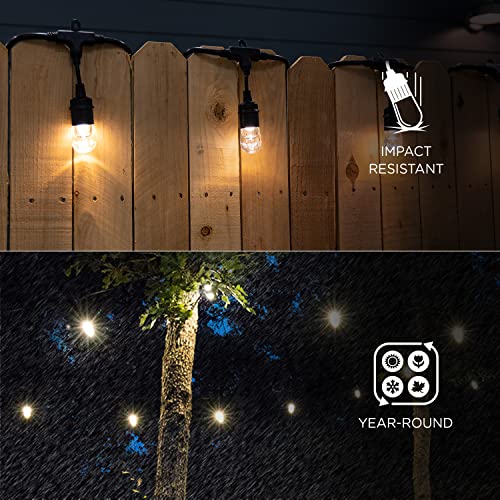 Classic Warm White String Lights, 48ft Black Cord, 24 Shatterproof Acrylic Bulbs, Weatherproof, Outdoor String Lights, 31664