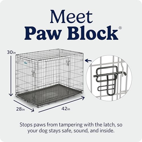 Midwest 42-Inch Double Door iCrate, for Large Breeds, 71-90 lbs