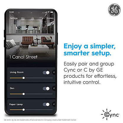 GE Dynamic Effects Smart Cafe Lights, Color Changing Patio String Lights, Compatible with Alexa and Google, 48ft