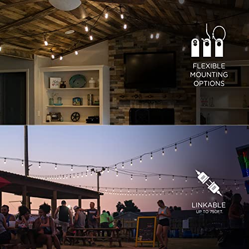 Classic Warm White String Lights, 48ft Black Cord, 24 Shatterproof Acrylic Bulbs, Weatherproof, Outdoor String Lights, 31664
