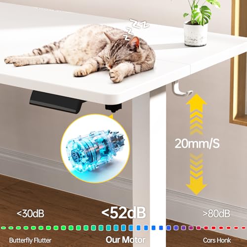 63×27.6 Inch Large Electric Standing Desk, Gaming Table, White