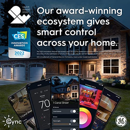 GE Dynamic Effects Smart Cafe Lights, Color Changing Patio String Lights, Compatible with Alexa and Google, 48ft
