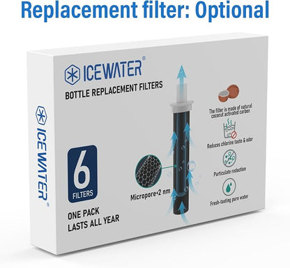 ICEWATER 24 oz Versatile Water Bottle, Regular & Filtered Straw with Filter | Reduces Chlorine Taste & odor, Removes Microplastics and Particulates, Ideal for Travel, Stainless Steel Insulated, BPA-Free