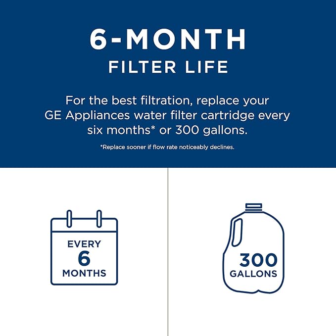 GE MSWF Refrigerator Water Filter | Certified to Reduce Lead, Sulfer, and 50+ Other Impurities| Pack of 1