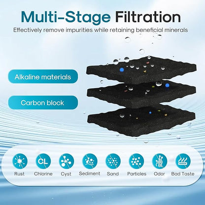 ICEPURE Alkaline LT1000PC Refrigerator Water Filter and Air Filter Replacement for LG LT1000P/PC/PCS, Kenmore 9980, ADQ74793501 ADQ74793502 ADQ747935 MDJ6484460 LT1000, Enhances PH, 3 Combo
