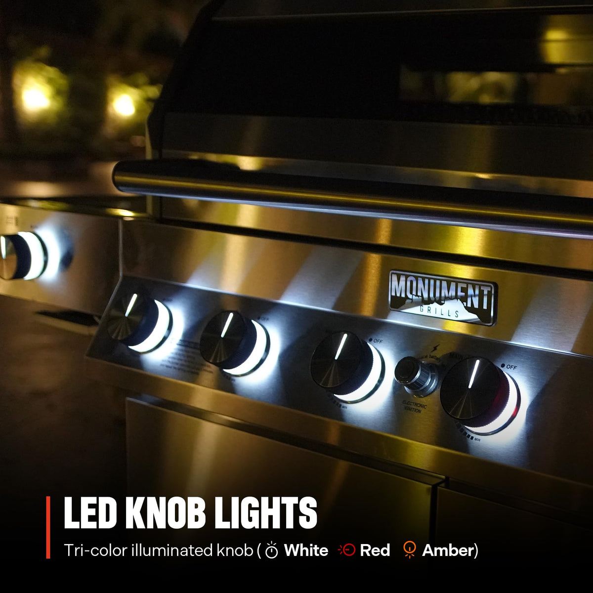 6-Burner Convertible Natural Gas Smart bbq Grill Stainless Steel Denali 605 with Smoke Box (Without Conversion Kit)