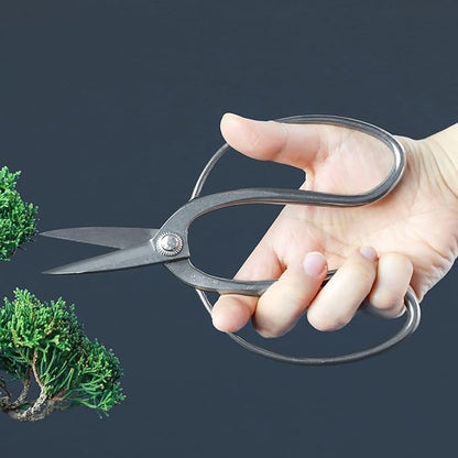 Wazakura Bonsai Scissors (Stainless Steel) Kazuyuki Ishihara model