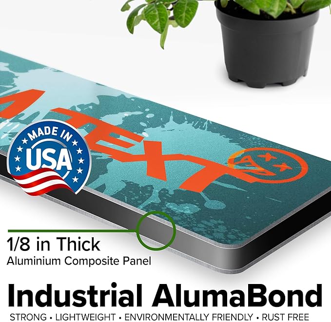 Custom Sign, Custom Street Sign, 11 Font Colors, 13 Font Styles, 4 Hole Options, 22 Sizes, 3x12 Inches, Rust Free DiBound, Fade Resistant, Made in USA by My Sign Center (Graffiti)