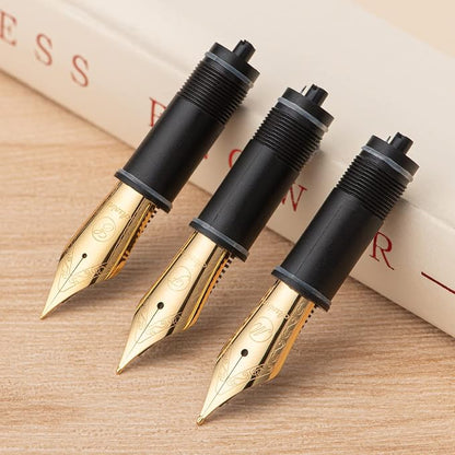 Asvine 3 PCS Fountain Pen Replaced Nibs, 6 Gold Plated Fine Nib V169, P20, P30 and V126