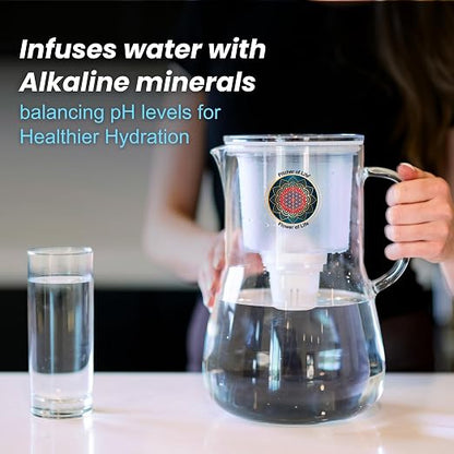 Borosilicate Glass Alkaline Water Pitcher of Life with Stainless Steel Fruit Infuser Glass Water Filter Pitcher with Lid Clearly Filtered Water Pitcher Increases pH NSF/ANSI 42 & 61 Certified Filters