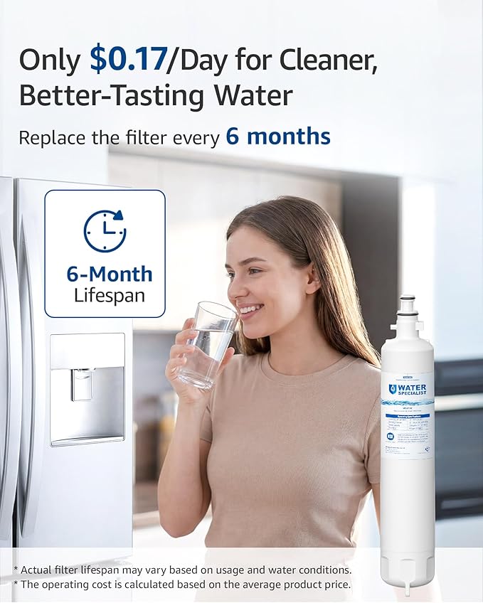 Waterspecialist WS619C Replacement for GE® RPWFE®, RPWF (Built-in CHIP) Refrigerator Water Filter, Compatible with GYS22GMNES, GYE22HSKSS, PYE22PELDS, GFE26GMKES, GFE28GYNFS, PFE28KYNFS, 2 Filters