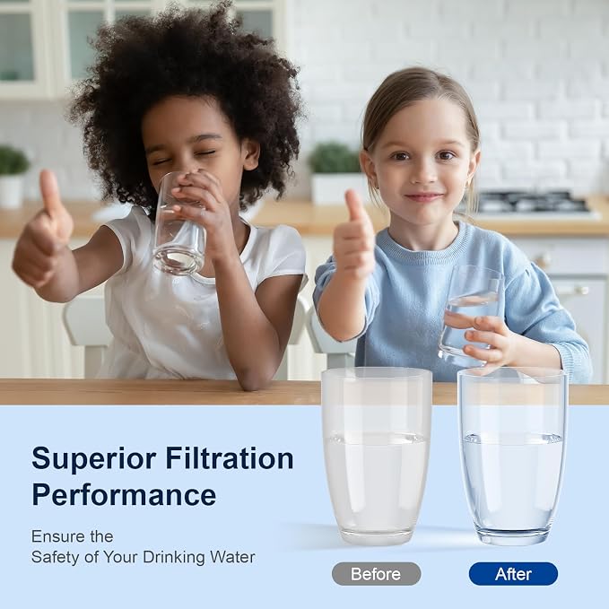 Purewell 4-Stage Composite Carbon Filter for Chlorine & PFAS Reduction, 2X Thick Walls, Up to 20,000 Gallons, Compatible with Berlkey, ProOne & Purewell Gravity Systems (2 Pack, SS Series, PF-6-PFAS)
