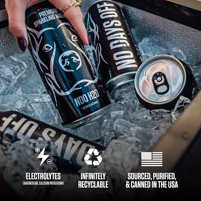 NO DAYS OFF Premium Sparkling Water - 12 Pack,16 fl oz, Sparkling (Unflavored) - Ultra-Purified Reverse Osmosis with Gentle Carbonation, Served in BPA-free 100% Recyclable Cans
