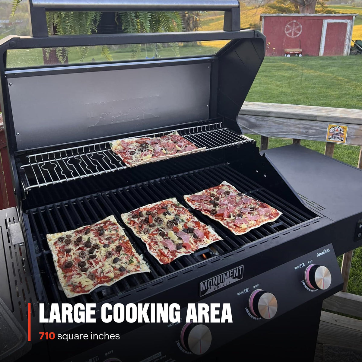 4-Burner Liquid Propane Gas Smart bbq Grill Denali 425 with Stainless Steel Smoke Box(2 Items)