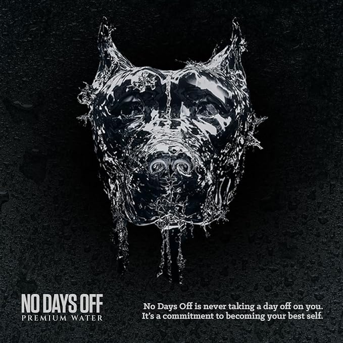 NO DAYS OFF Premium Sparkling Water - 12 Pack,16 fl oz, Sparkling (Unflavored) - Ultra-Purified Reverse Osmosis with Gentle Carbonation, Served in BPA-free 100% Recyclable Cans