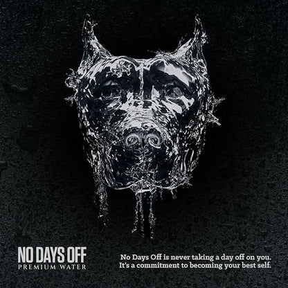 NO DAYS OFF Premium Sparkling Water - 12 Pack,16 fl oz, Sparkling (Unflavored) - Ultra-Purified Reverse Osmosis with Gentle Carbonation, Served in BPA-free 100% Recyclable Cans