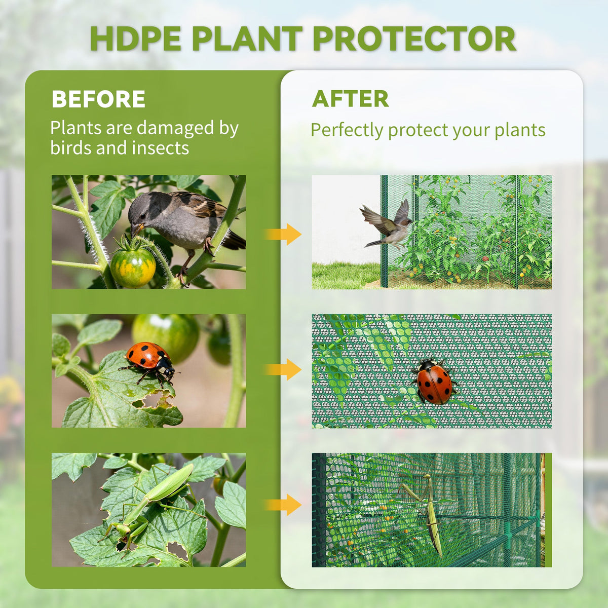 Crop Cage, 6' x 3' x 5' Large Plant Protection Tent with Zippered Door, Outdoor Garden Cage, Green