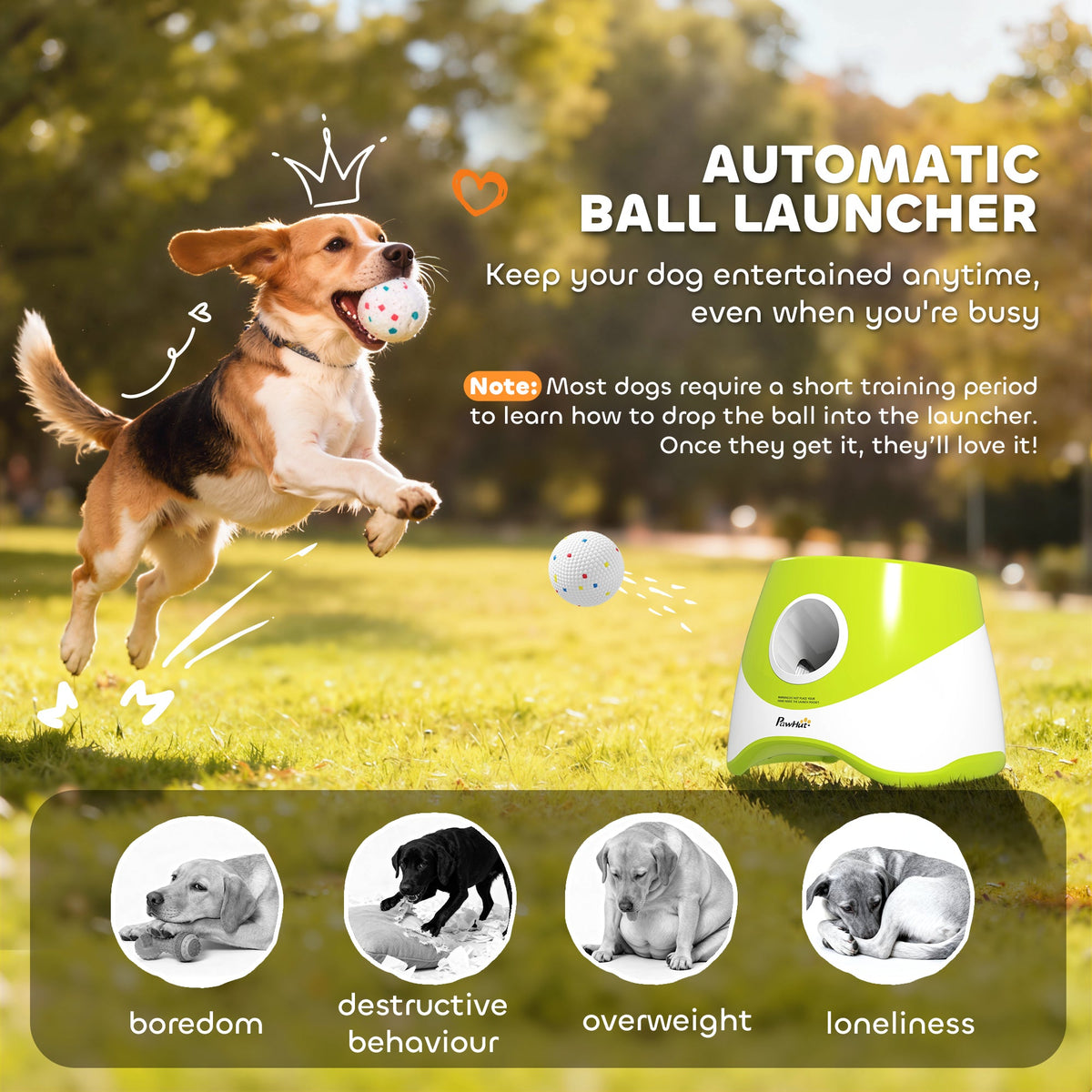 Automatic Dog Ball Launcher, Dog Ball Thrower with 5 2.3" ETPU Balls, 3 Distance Settings (20/33/46 ft) for Small Medium Pets, Green