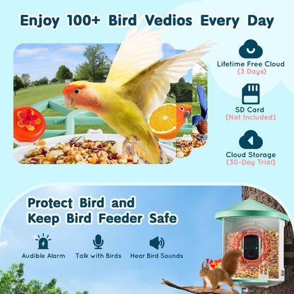 Smart Bird Feeder with Camera, 2K HD AI Identify 10,000+ Bird Species, Solar-Powered Bird Watching Camera with Auto Capture & Instant Notify, Wireless Outdoor Ideal Gift for Bird Lovers (Green)