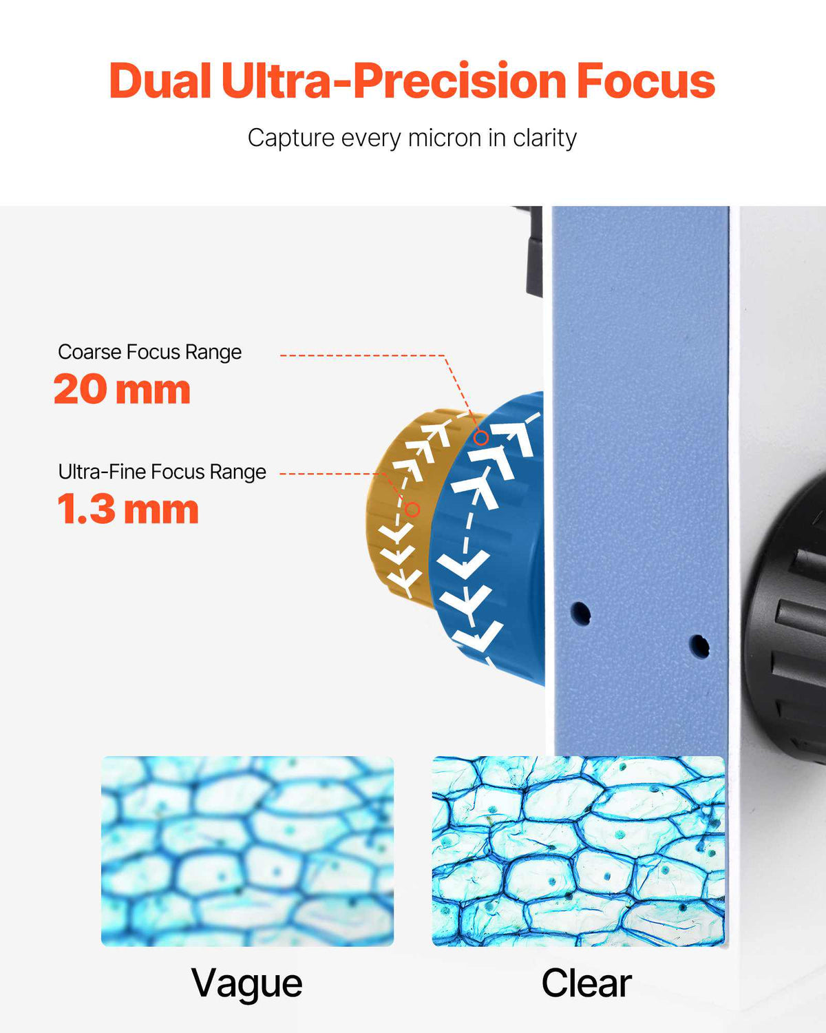Binocular Microscope, 40-5000X Magnification, Professional Compound Microscope for Adult with Dual Stage and Two Sets of Eyepieces, Aluminum Alloy Body, Includes LED Light and Phone Holder
