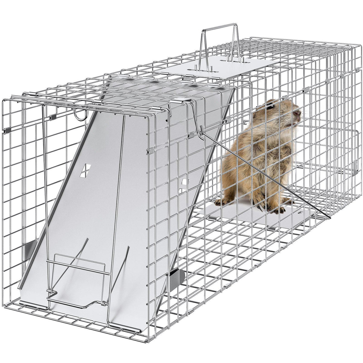 Live Animal Cage Trap, 31" x 10" x 12" Humane Cat Trap Galvanized Iron, Folding Animal Trap with Handle for Rabbits, Stray Cats, Squirrels, Raccoons, Groundhogs and Opossums